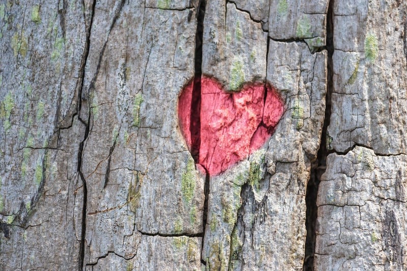Handmade heart symbol